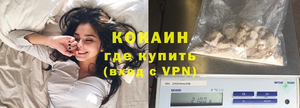 индика Дмитров