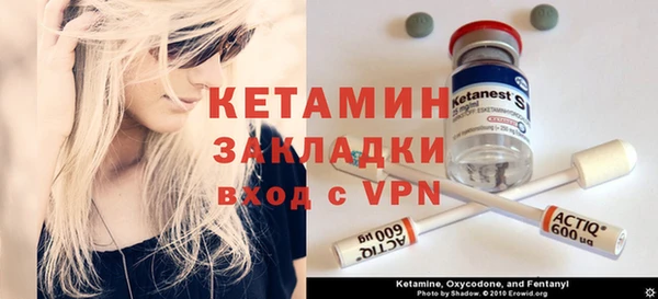 индика Дмитров
