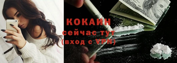 тгк Дмитровск