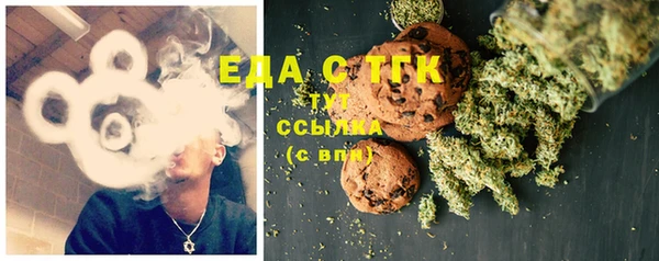 индика Дмитров