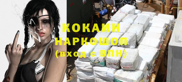 индика Дмитров