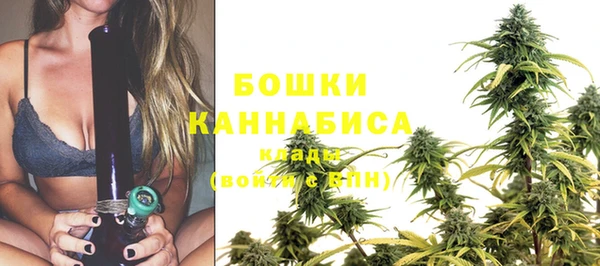 индика Дмитров