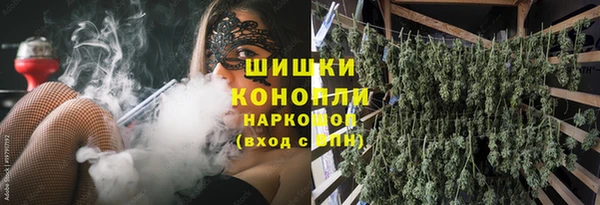 индика Дмитров