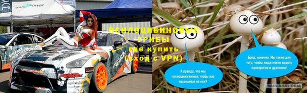 спайс Дмитриев