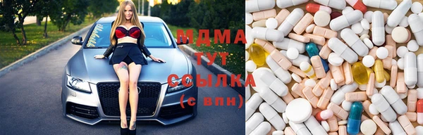 индика Дмитров
