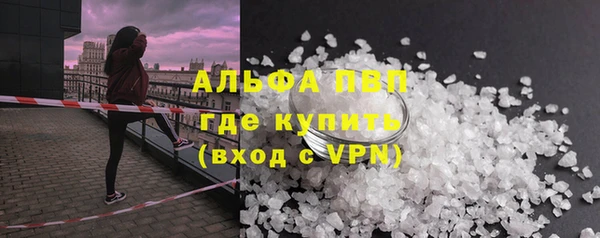 тгк Дмитровск