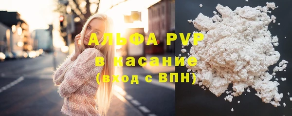 индика Дмитров